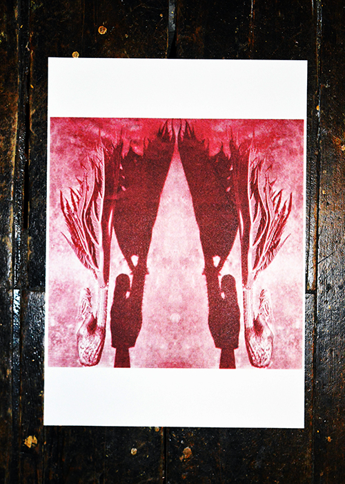 william vinegrad exhibitions