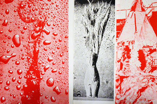 william vinegrad exhibitions
