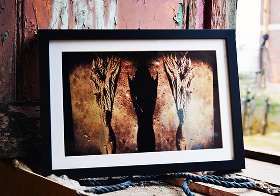 william vinegrad exhibitions
