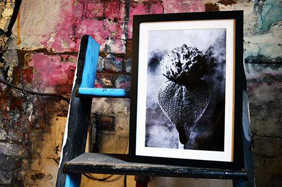 william vinegrad exhibitions