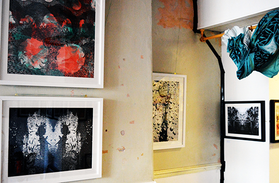 william vinegrad exhibitions