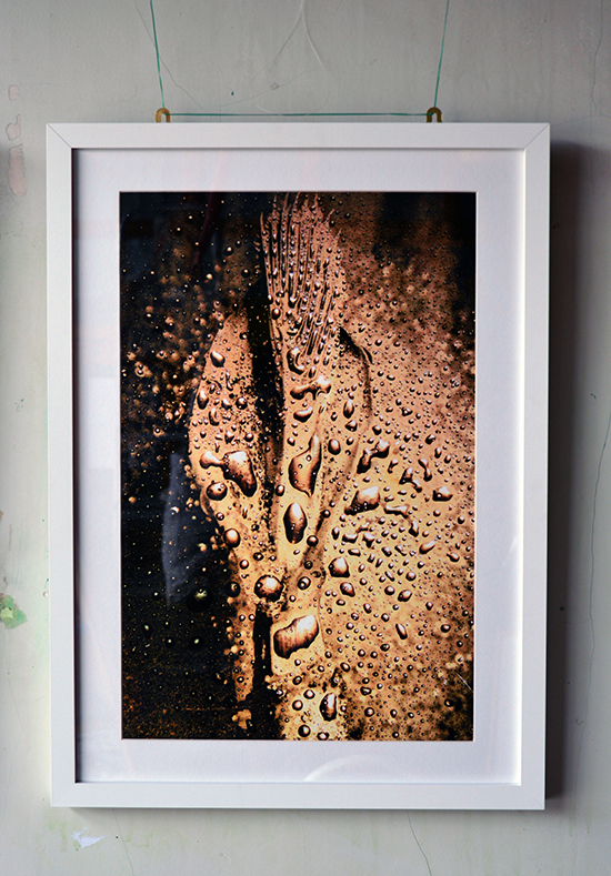 william vinegrad exhibitions