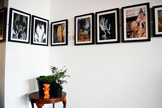 william vinegrad exhibitions